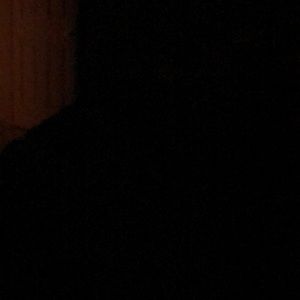 Meet your Posher, Lexi